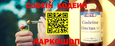 индика Пенза