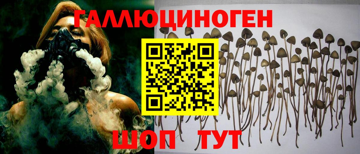 Галлюциногенные грибы мицелий Строитель