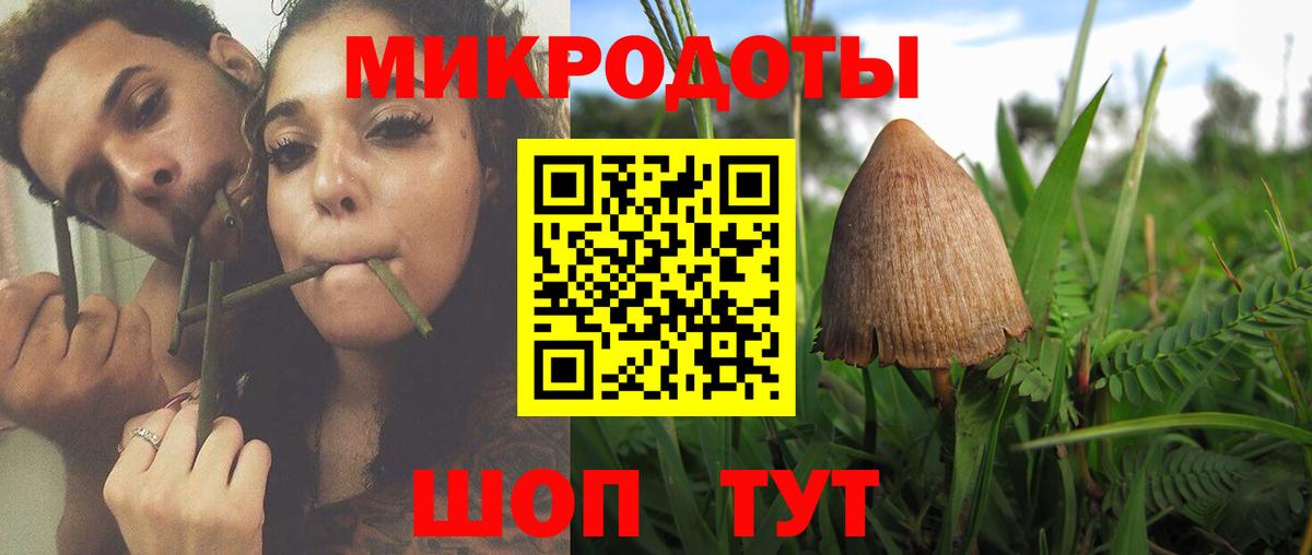 Строитель  Галлюциногенные грибы прущие грибы  Вход с VPN 